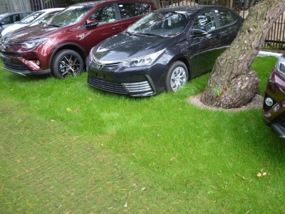 zelené parkovisko zo zatrávňovačov