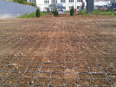 detail realizovanej plochy ozyrastrami