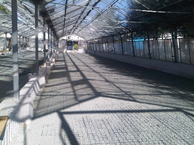 zhotovená podlaha skleník