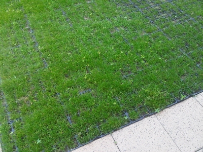 Zelené parkovisko pri rodinnom dome po zhotovení