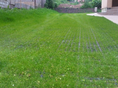 zelené parkovisko ozyraster